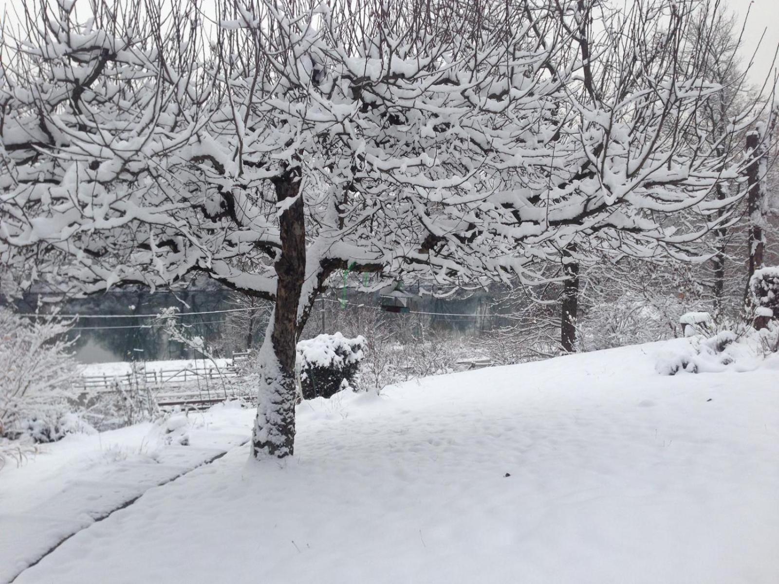 Kuca Suncani Brijeg Pokupsko Extérieur photo