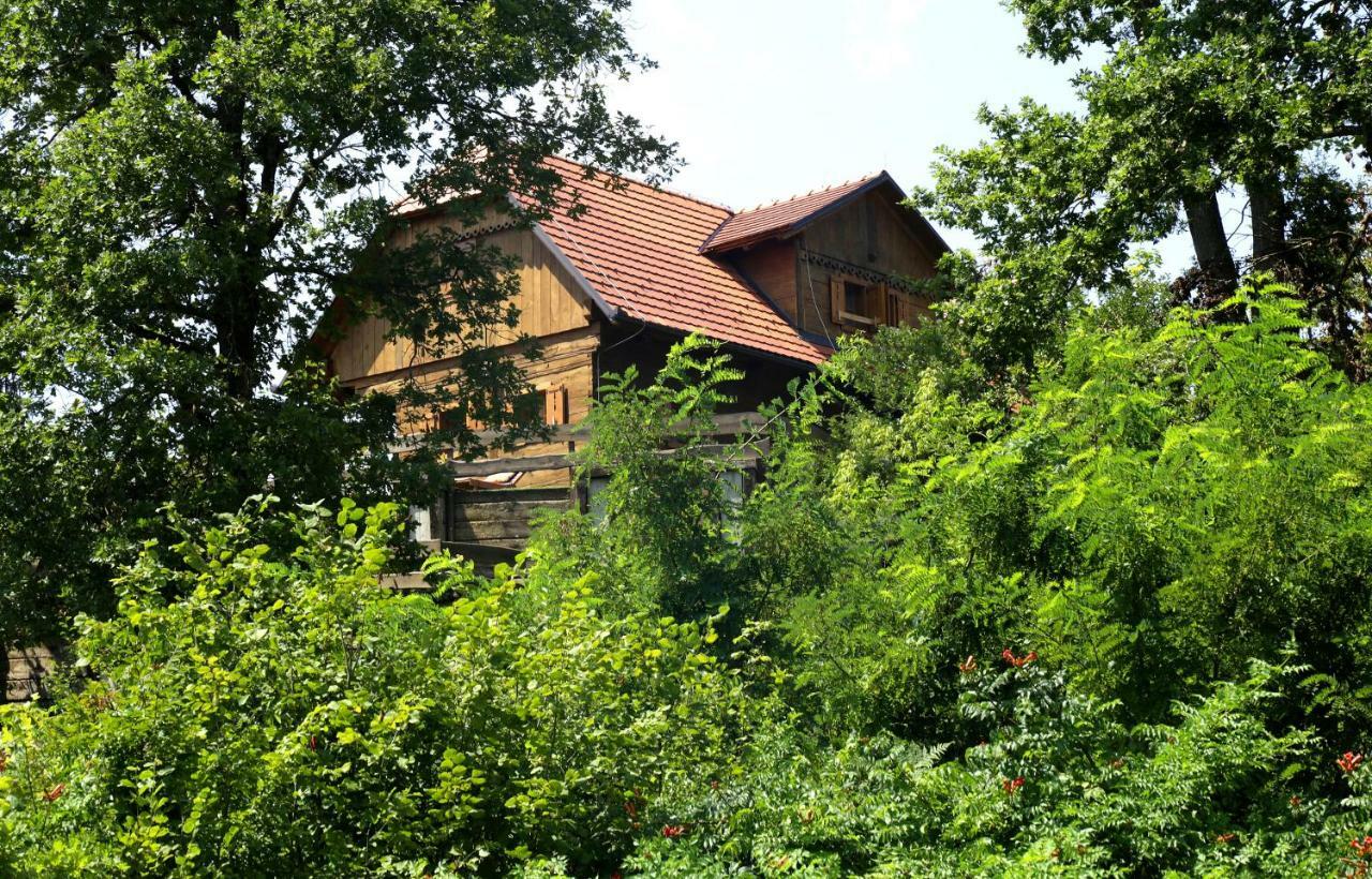 Kuca Suncani Brijeg Pokupsko Extérieur photo